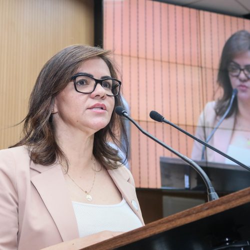 Novembro: Inscrições para o primeiro Prêmio APEL